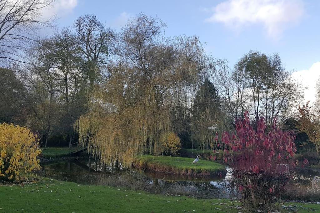 Вилла Domaine Du Bois L'Abbe Epaignes Экстерьер фото